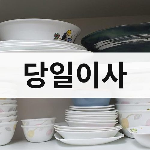 광주 동남 당일이사 포장이사